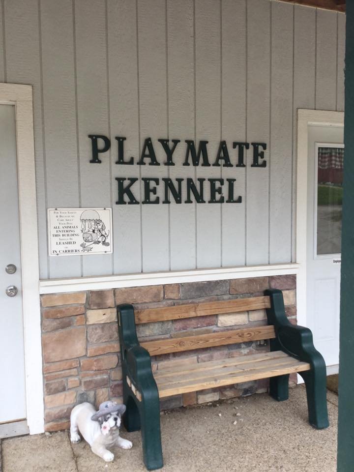 Playmate Kennels And Stables